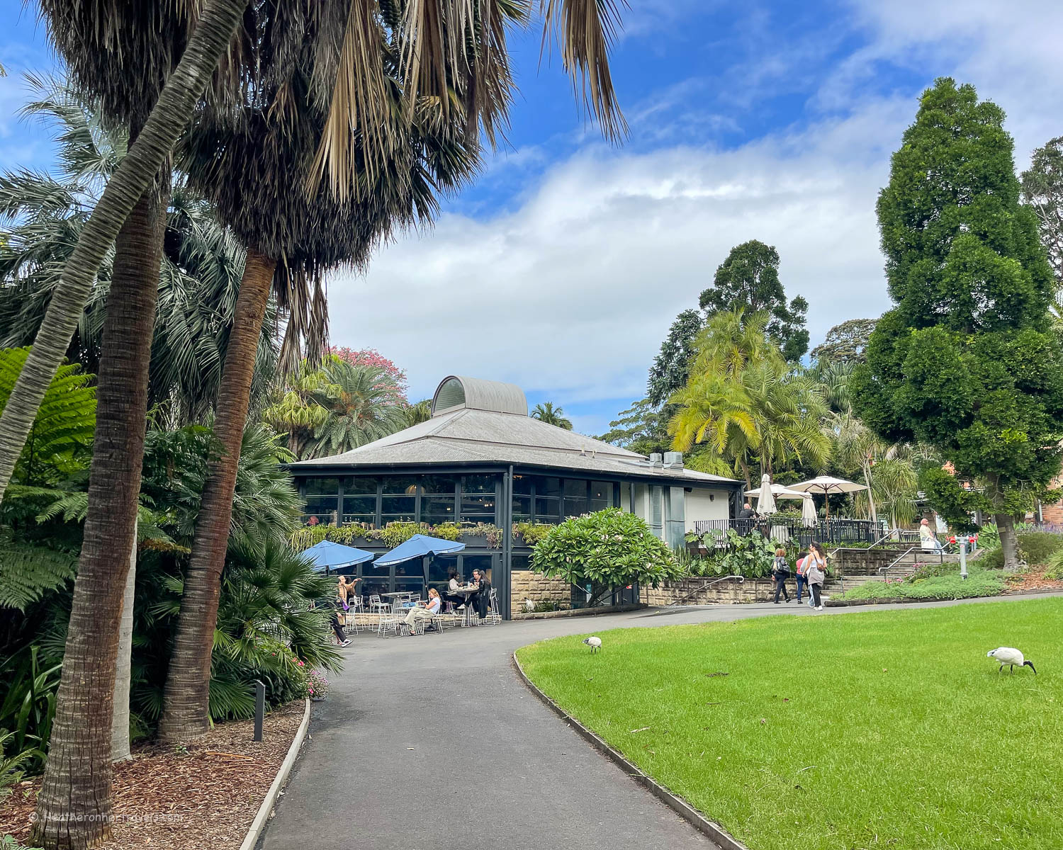 Botanic House restaurant, Botanic Garden Sydney Australia &copy; Heatheronhertravels.com