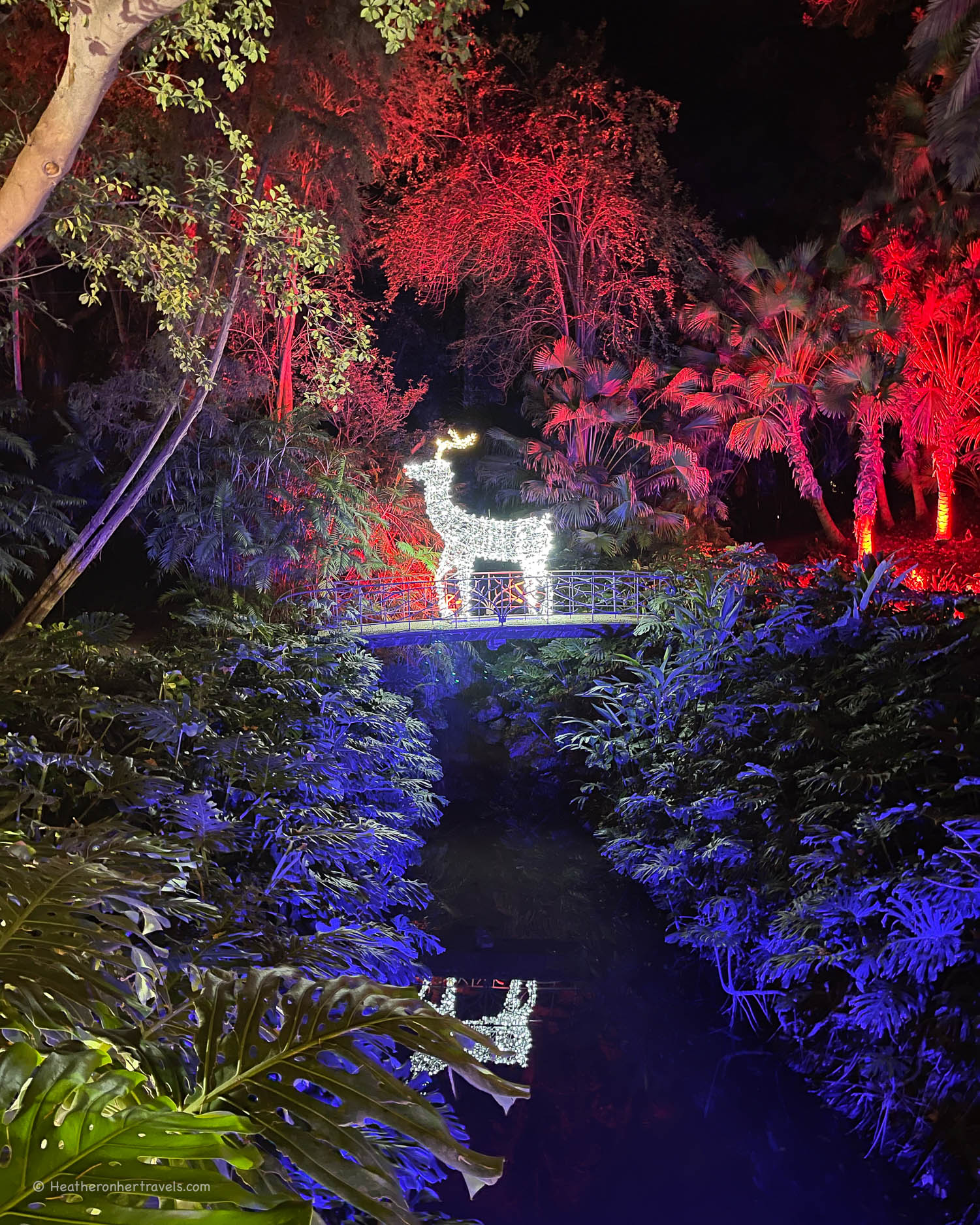Light Trail at the Botanical Garden in Malaga Spain &copy; Heatheronhertravels.com